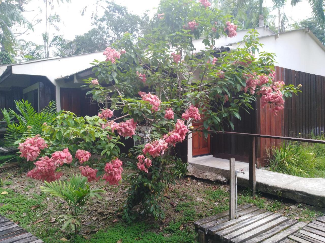 Ceiba Tops Santa Teresa  Exteriér fotografie