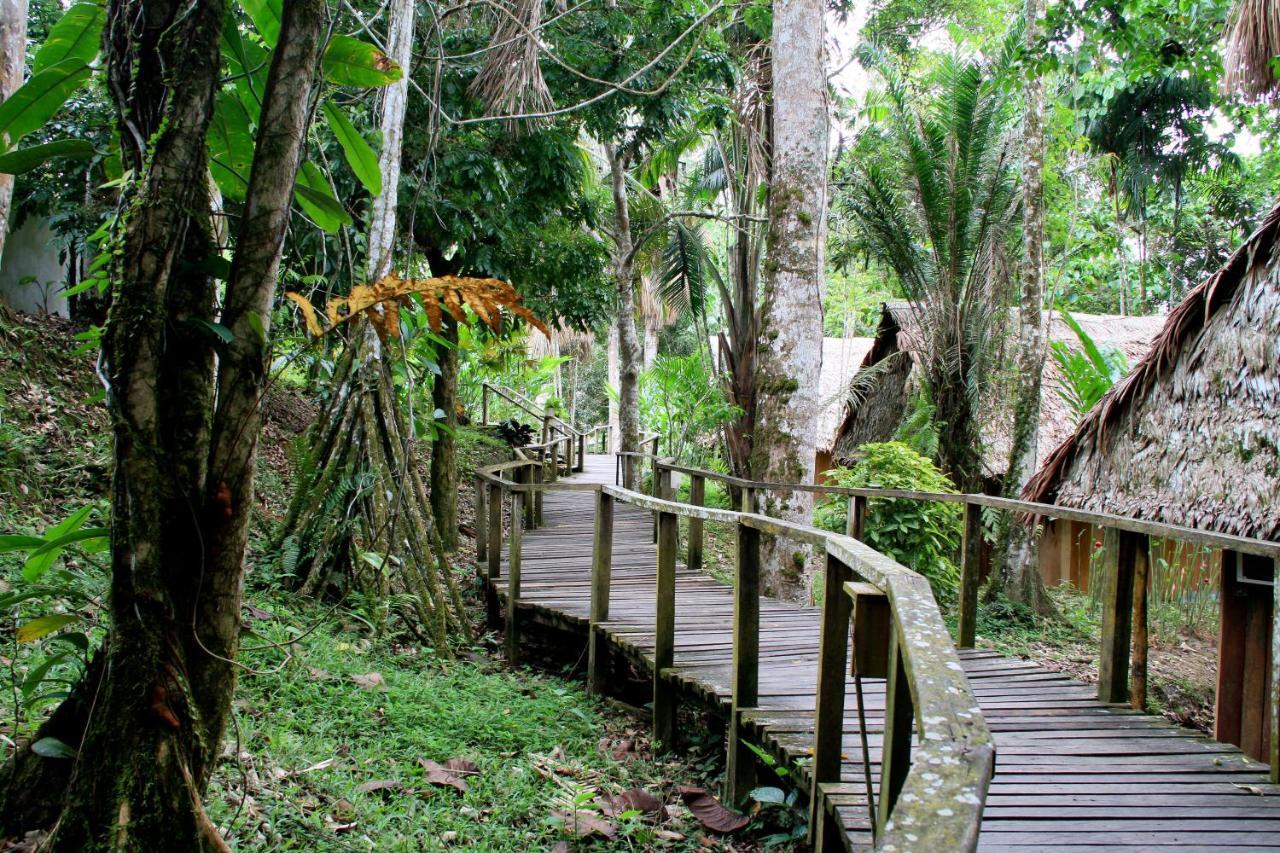 Ceiba Tops Santa Teresa  Exteriér fotografie